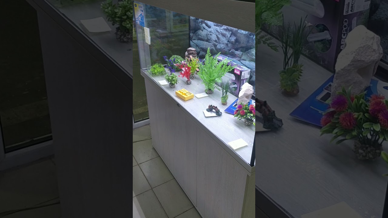 Аквариум Биодизайн 