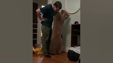 My Husband Stares at Wood for a Straight Minute
