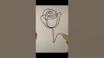 One line drawing rose
