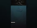 How Deep Is The Mariana Trench Really? 🌊 #shorts