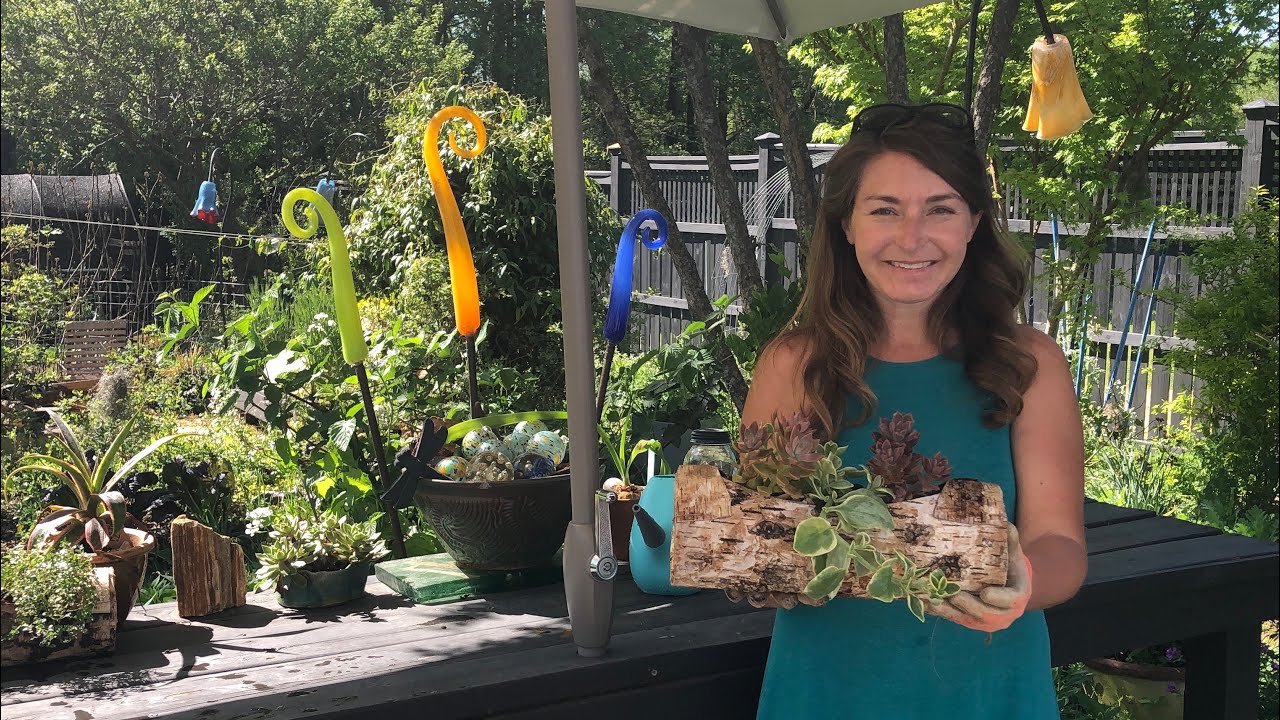 Easy to grow succulents 🌱 how to plant them - YouTube