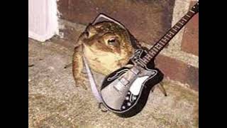 flying toads [official audio]