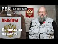 Выборы - 2021. Зачем знаменитости от Зверева до Вассермана идут в Госдуму