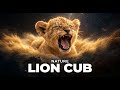 The Big Cat Nap: An Exploration into the Sleepy Yawns of Lion Cubs | Science Before Dreams
