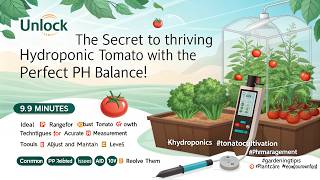 Mastering pH for Hydroponic Tomatoes: Boost Growth & Prevent Deficiencies!