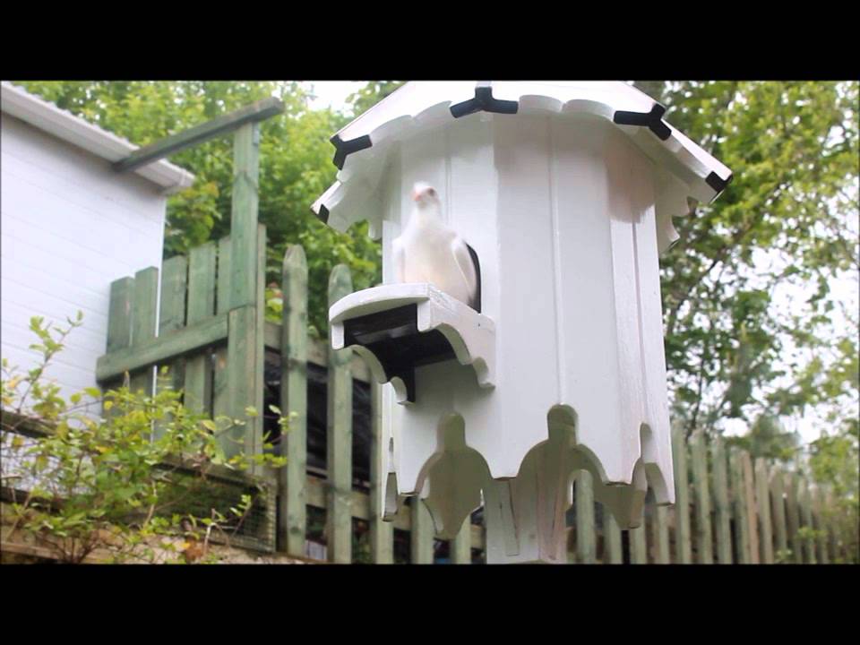 How do you make a dovecote?