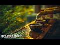 Flow Into Serenity Bamboo Water Sounds Gentle Piano For Stress Relief 