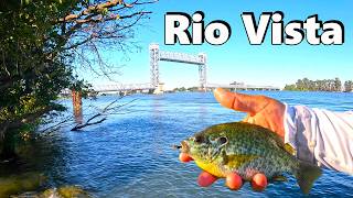 A Simple Way to Catch Bluegills for Dinner