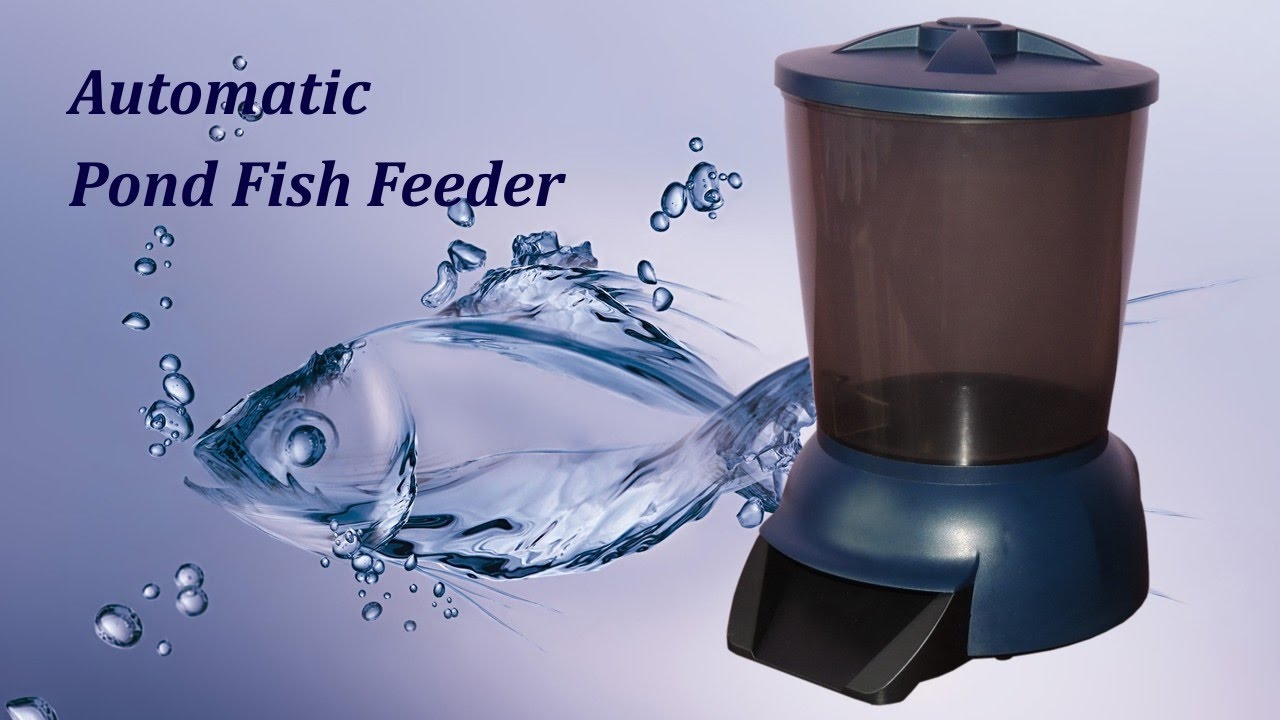 Automatic Fish Feeder for Pond Fishes 