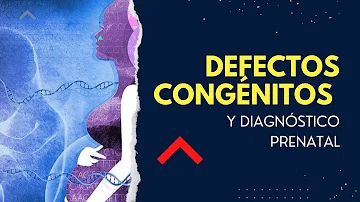 ¿Qué fase del desarrollo prenatal conlleva el mayor riesgo de defectos congénitos y por qué?