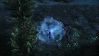 Guild Wars 2 Beta - Guardian Underwater Skills & Combat HD