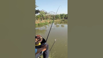 Hồ Đông Phương đường Xương Cá 1 Bình Chánh #duysaigonfishing