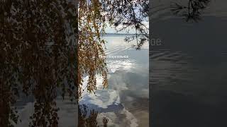 #стихияводы #гармония #релакс #баланс #природа #вода #созерцание #жизнь