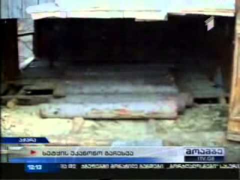 MOE: გარემოსდაცვითი ზედამხედველობის სამსახურმა ხე-ტყის უკანონო ჭრა გამოავლინა