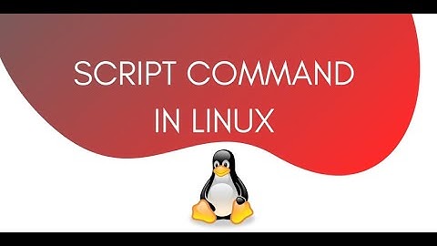script command in rhel8.