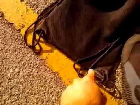 relics for limbo prime Metal Detecting - Back to the Old Swim Hole