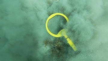 Underwater metal detect - Nokta Pulsedive