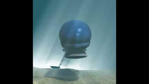 MONSTRO - Monster whale.