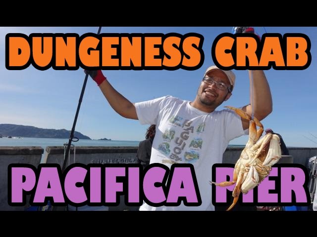 How to use Crab Snares  Crabbing With a Fishing Rod! 