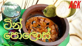 ටන පලස කරය -Canned Baby Jack Fruit Curry