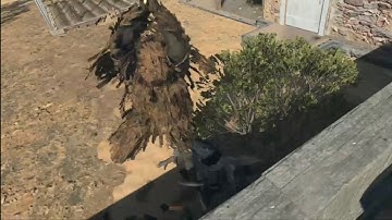 Solo dmz ghillie suit stealth clip team wipe... snipes and smooth cuts execution ending