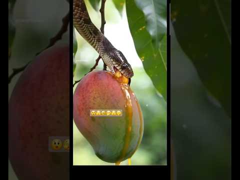 Https Youtu Be KUcF1FWMZUc Feature Sharedhttps Youtu Be 48dta Xn6Wc Si 9WjvQ1yPN G7YjpU