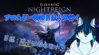 初フロムでナイトレインやる