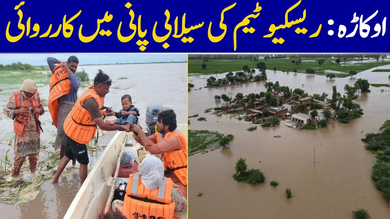 Okara: Rescue Team Operation In Floodwaters | Dawn News