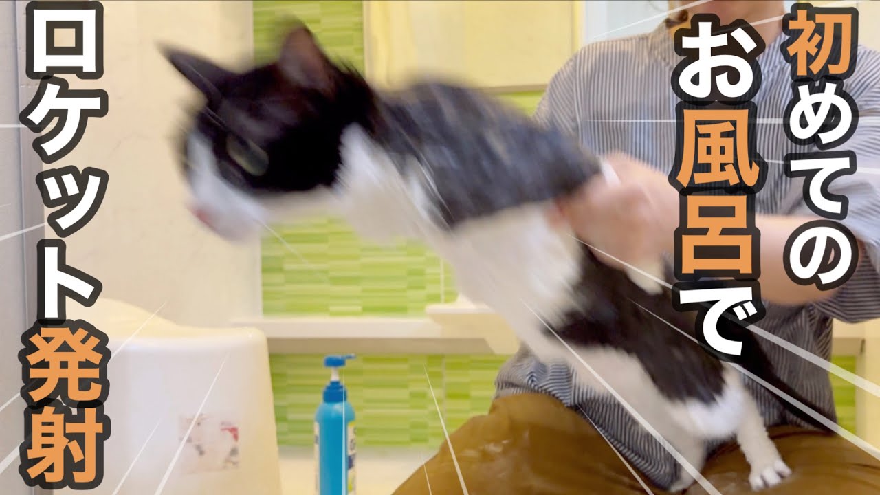 初めてお風呂に入ったらロケット発射しました…。🚀