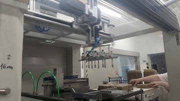 Robotic stacker for illig machine , Thermoforming