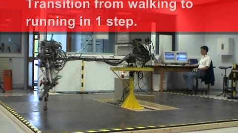 Bipedal Robot Rabbit: Six running steps (Grenoble, September 2004)