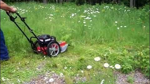 Earthquake briggs and stratton string trimmer sales model on ebay