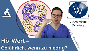 Was ist Hb im Blut?