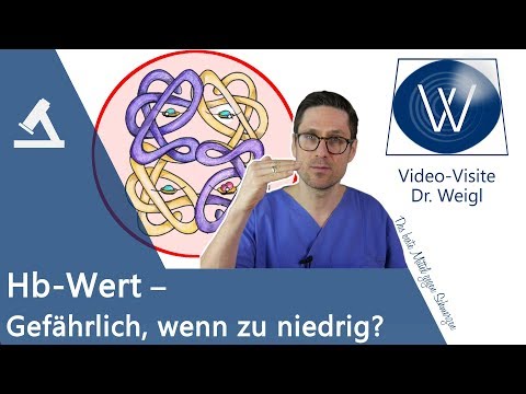 Zu wenig Hämoglobin im Blut? 🔴 Was tun beim niedrigen Hb Wert? Ursachen | Symptome | Therapie