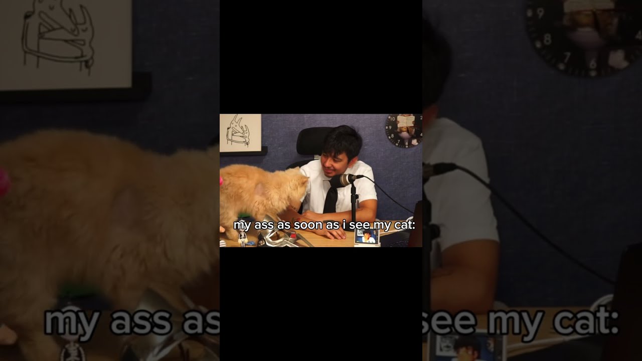 Me When I See My Cat