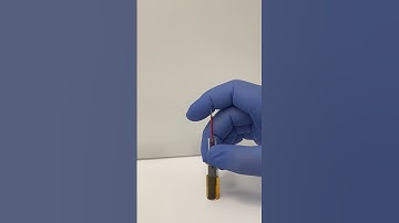 Loading Sample in Thin Layer Electrode (TLE)