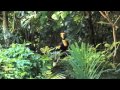 Katy Perry   Roar  Queen of the Jungle Music Video Preview)