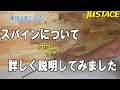 スパインについて詳しく説明してみました。