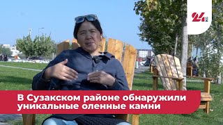 картинка: В Сузакском районе обнаружили уникальные оленные камни