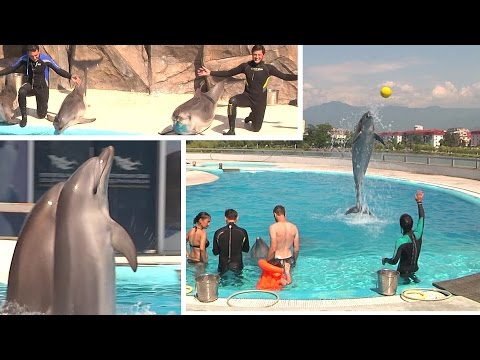 ბათუმის დელფინარიუმი - გიორგი კაკაბაძის სიუჟეტი