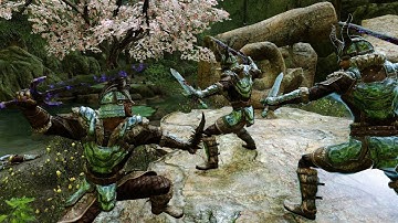 Forsworn Briarheart vs Fralis | Skyrim