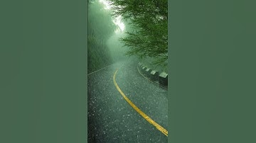 barish relax netural video #shorts video #rain #barish #nature #viral #youtubeshorts #status #short