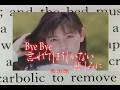(カラオケ)Bye Bye 忘れてしまうしかない悲しみに / 長渕剛