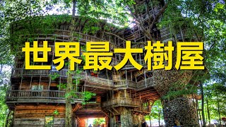 世界上最大的樹屋，因遊客眾多而被迫關閉，最終蕩然無存化為灰燼