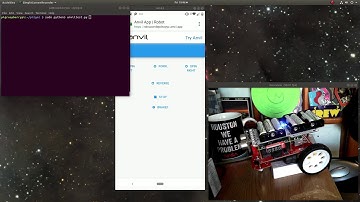 Control a Raspberry Pi Robot with Anvil
