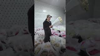 Прямая поставка с плантации: как мы контролируем качество роз для вашего бизнеса 🤝🌹