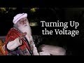 Turning Up the Voltage | Sadhguru