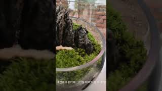 카페그린힐 영상