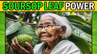 Discover 19 Health Benefits of Soursop Leaves - Natures Healing Miracle