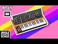 BEHRINGER POLY D | Single Synth Song